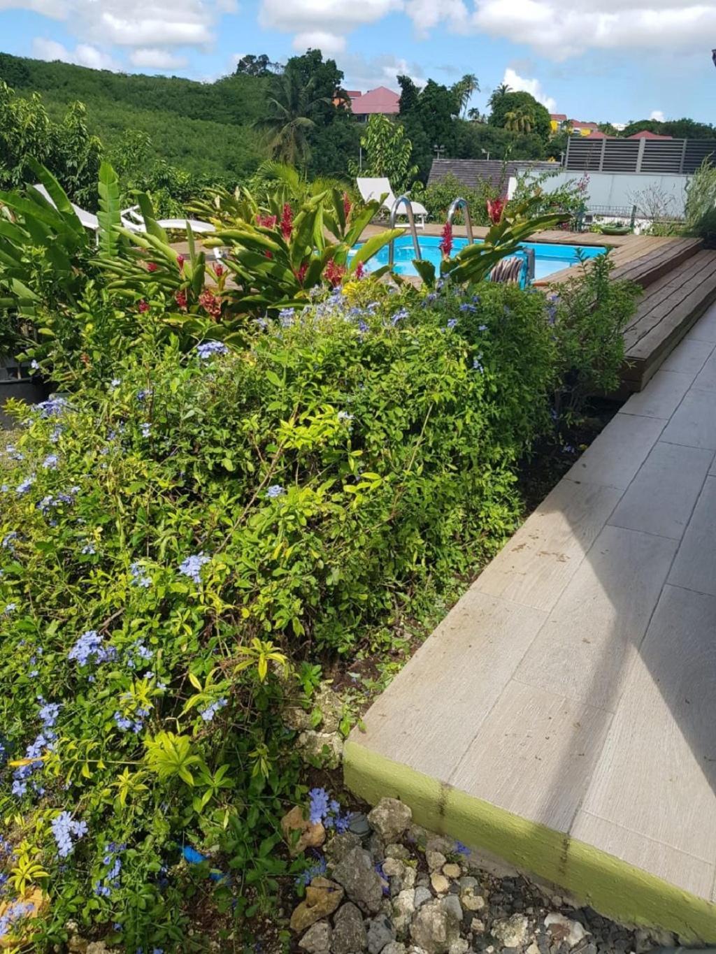 Studio Avec Piscine, A 3 Minutes A Pied Des Plages Sainte-Anne  Exterior photo